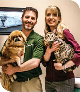 Schaumburg veterinarian couple with dog and cat